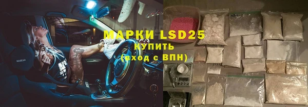 индика Вязьма