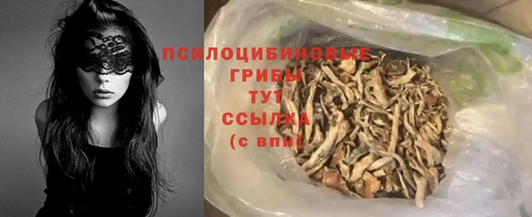 индика Вязьма
