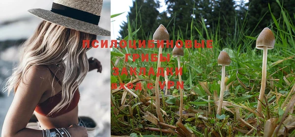 индика Вязьма
