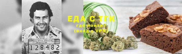 индика Вязьма