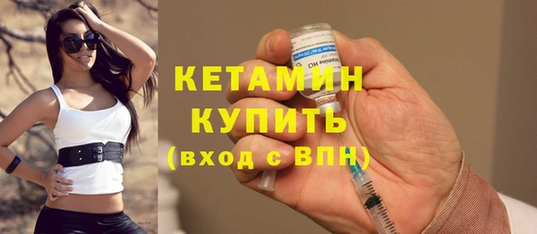 индика Вязьма