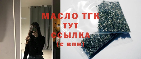 индика Вязьма