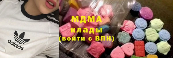 индика Вязьма