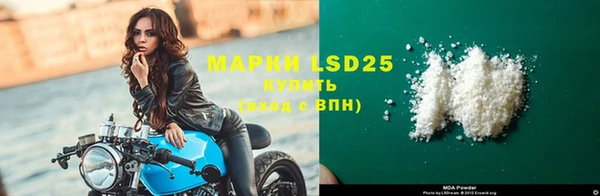индика Вязьма