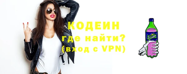 индика Вязьма