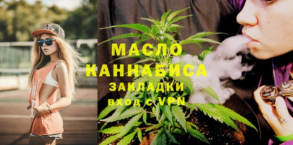 индика Вязьма