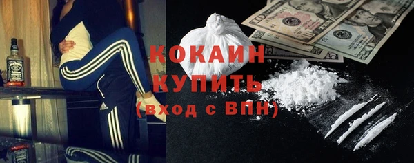 индика Вязьма