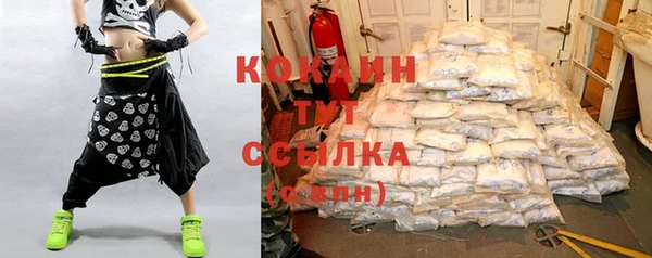 индика Вязьма