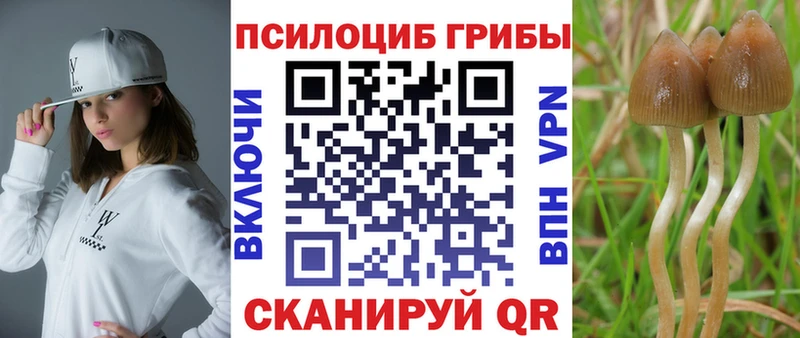 хочу наркоту  Муром  Псилоцибиновые грибы GOLDEN TEACHER 