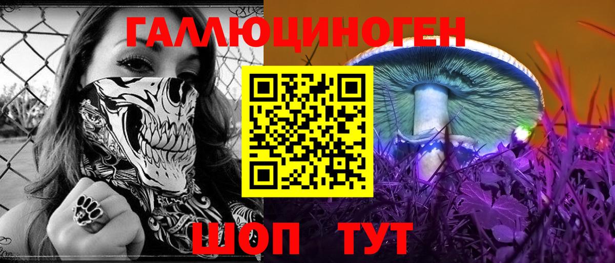 Муром  Галлюциногенные грибы GOLDEN TEACHER  Вход с VPN 